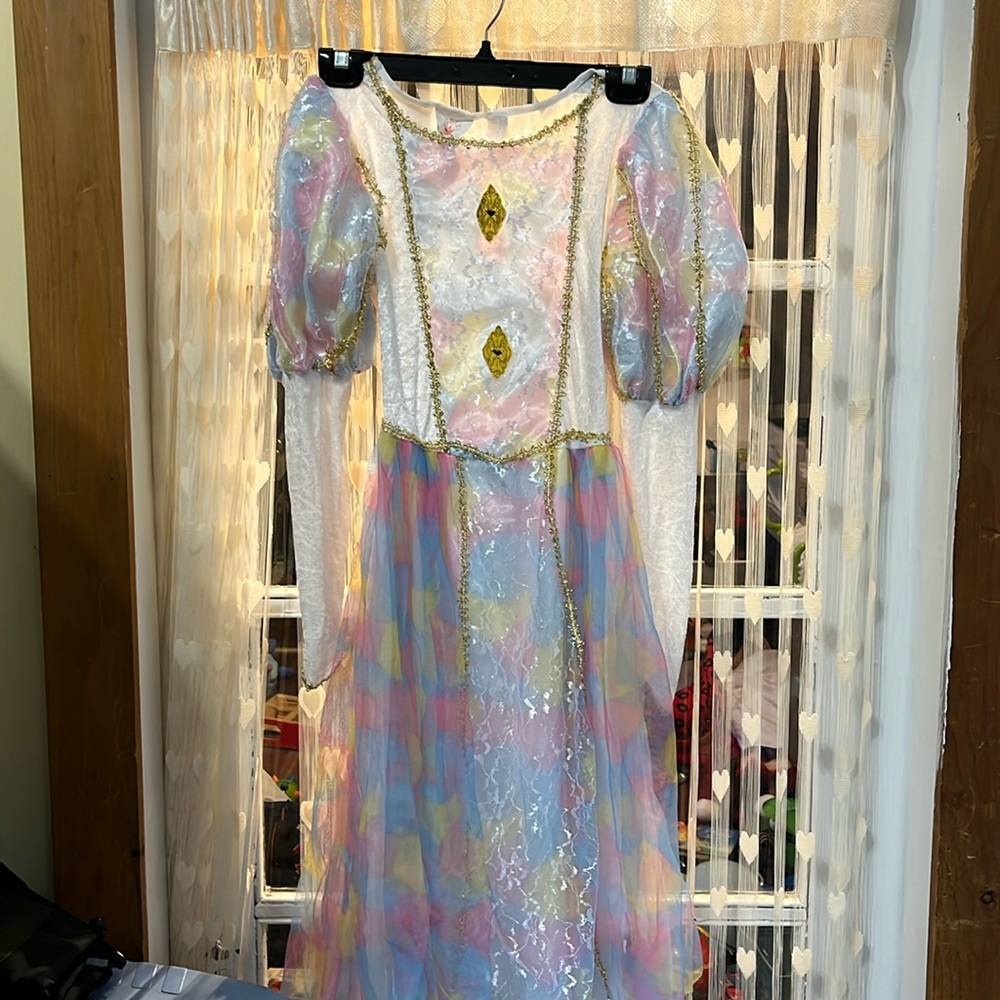 Girls size XL princess dress